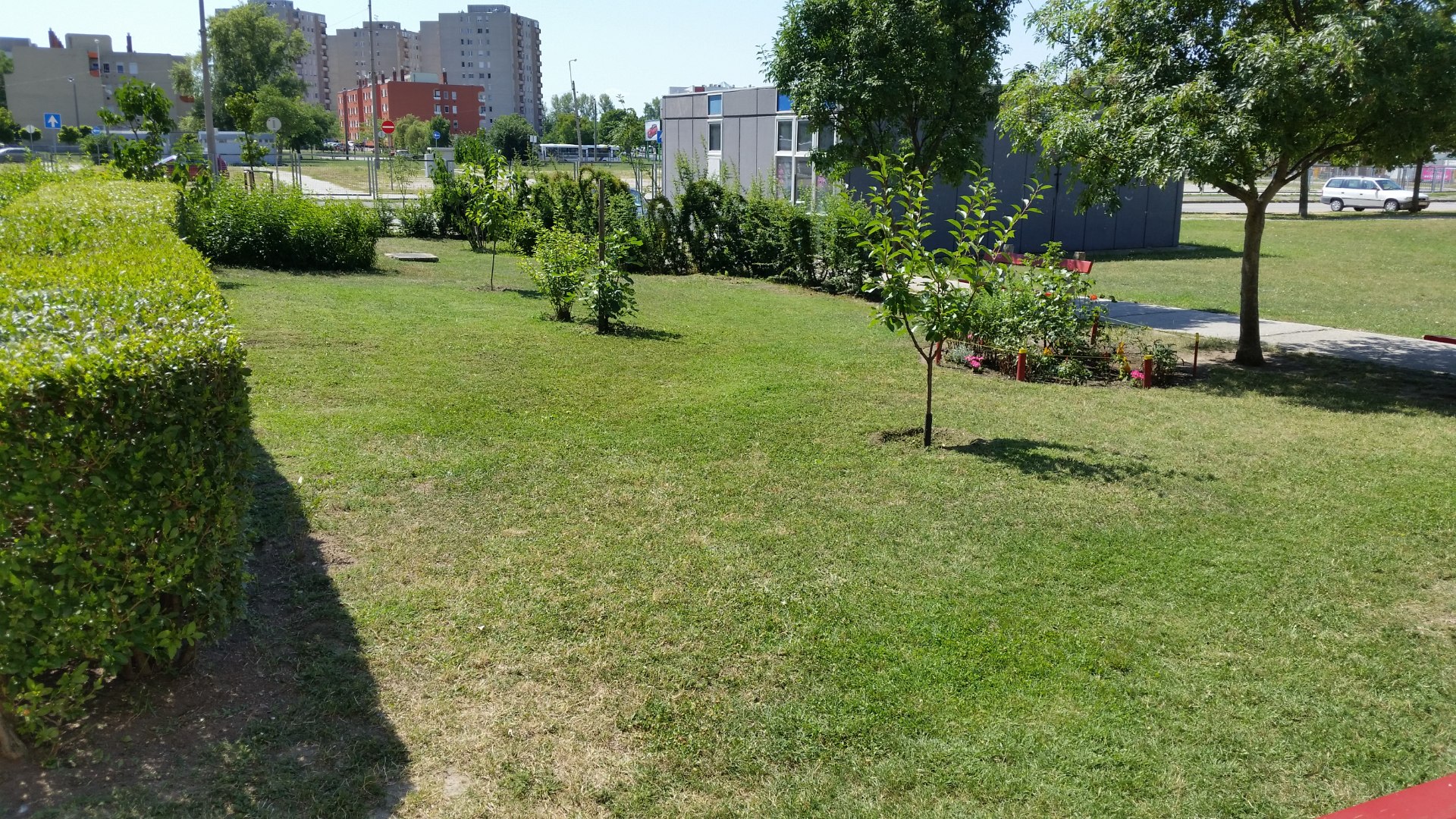 „Virágosabb és zöldebb Székesfehérvárért” - még lehet pályázni növényekre